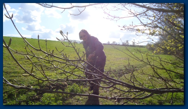 624x361 pixels (114K)